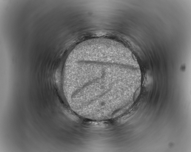 X0000098220524200805221651