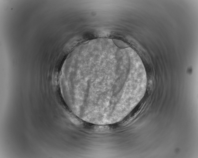 X0000098220525200805221651