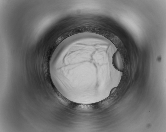 X0000098220526200805221651