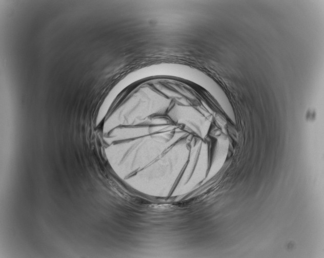 X0000098220528200805221651