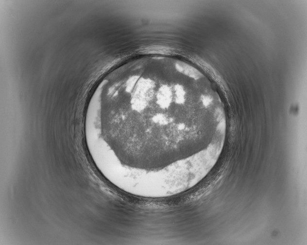 X0000098220529200805221650
