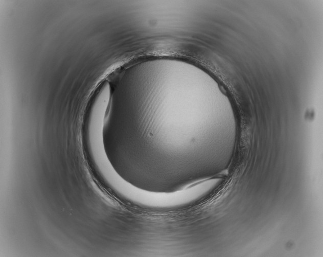X0000098220530200805221650