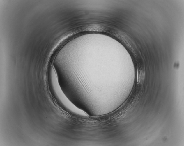 X0000098220531200805221650