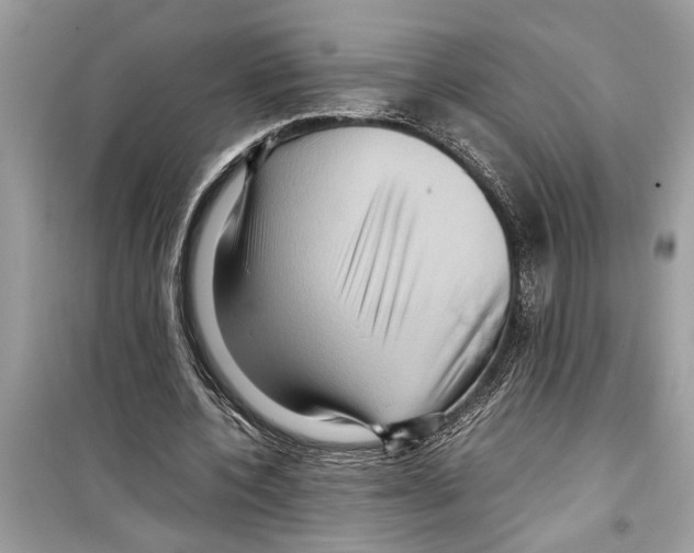 X0000098220532200805221650