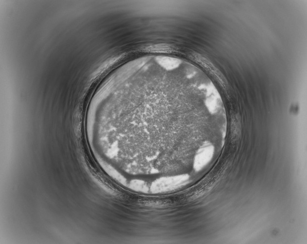 X0000098220533200805221650