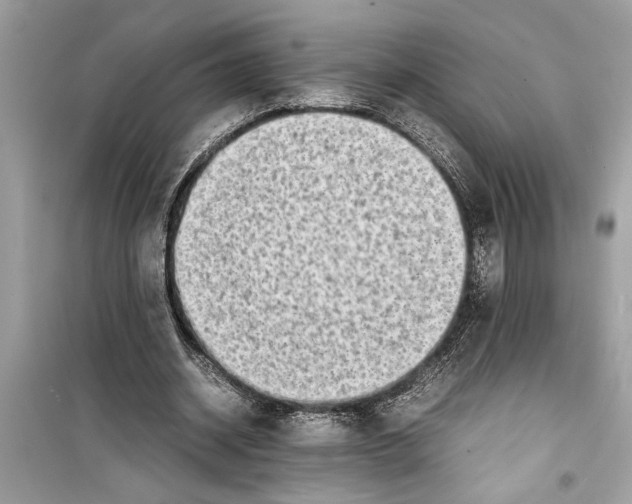 X0000098220534200805221650