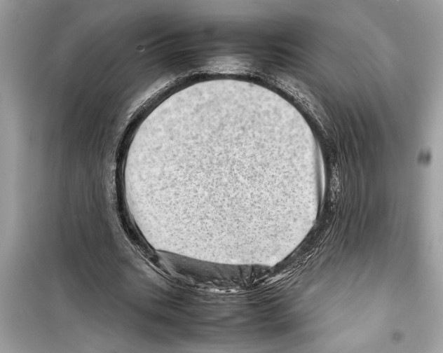 X0000098220535200805221650