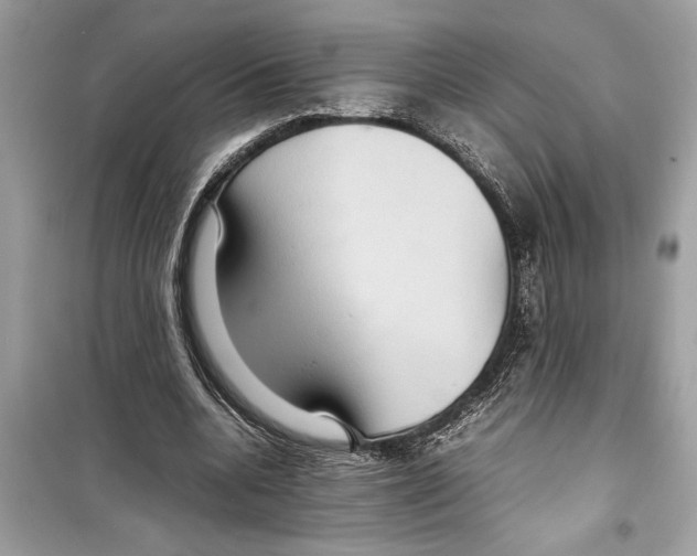 X0000098220536200805221650