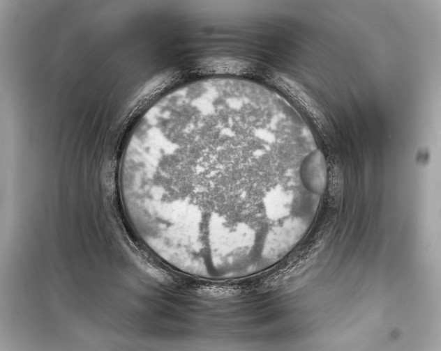 X0000098220537200805221650