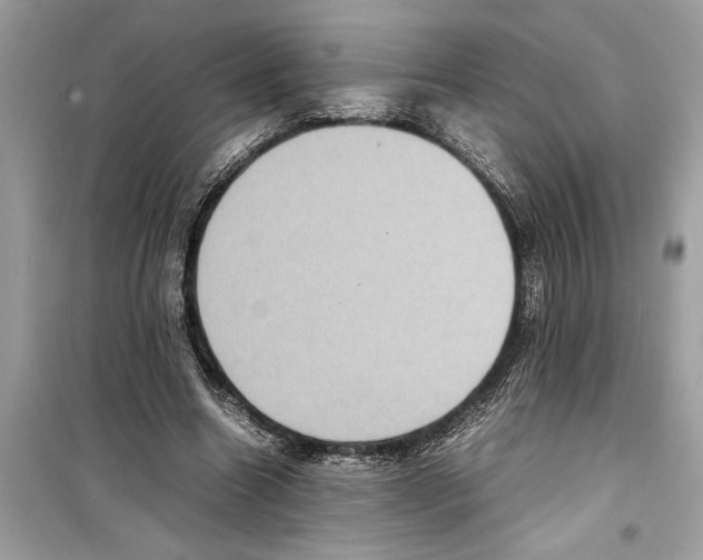 X0000098220538200805221650