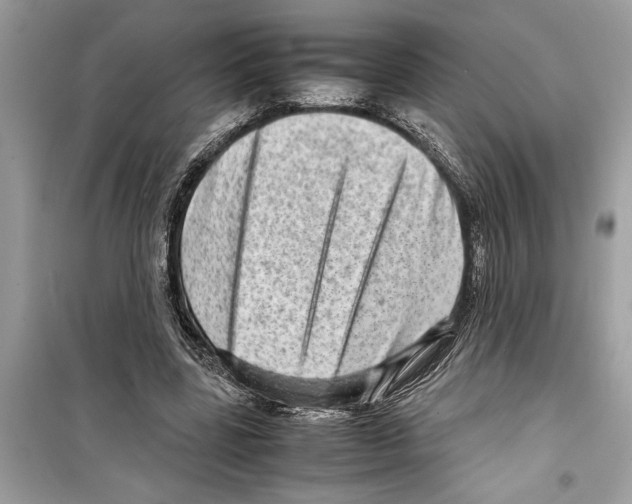 X0000098220539200805221650