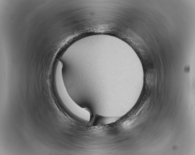 X0000098220540200805221650