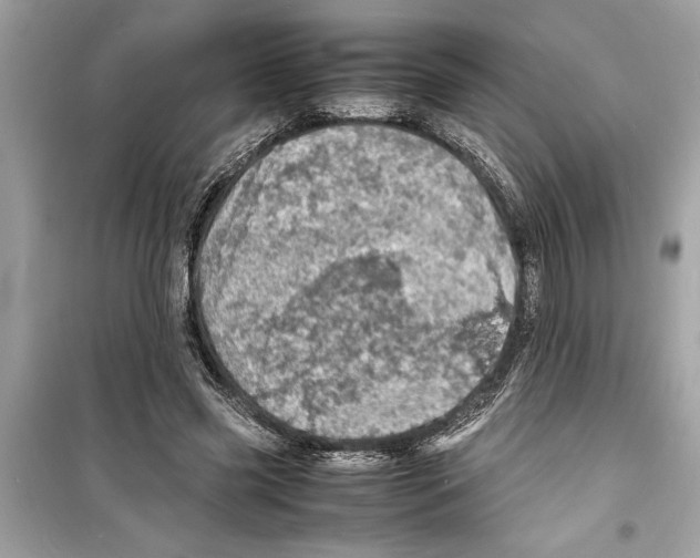 X0000098220541200805221650