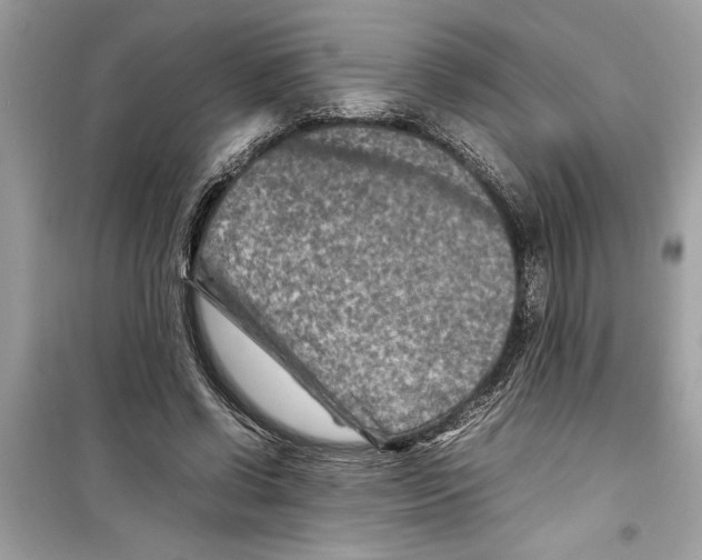 X0000098220542200805221650