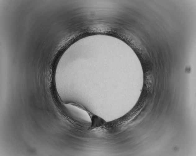 X0000098220544200805221650