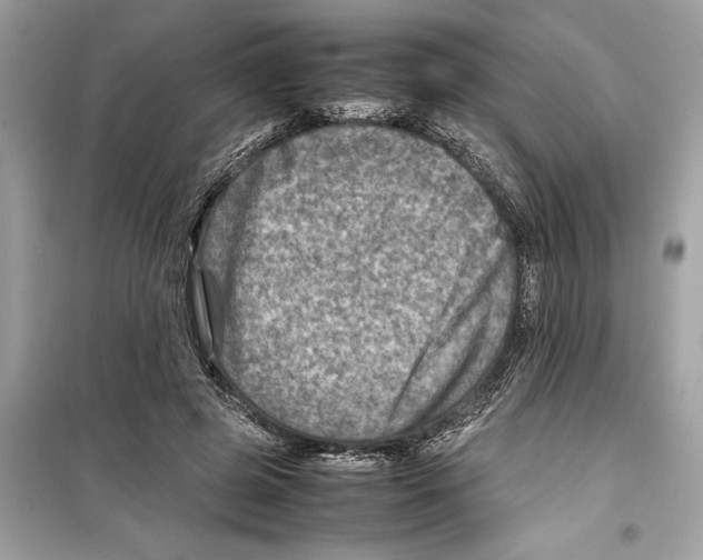 X0000098220545200805221650