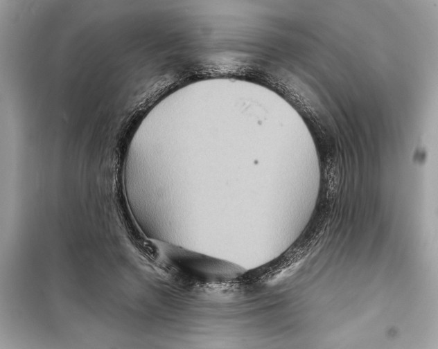 X0000098220546200805221650