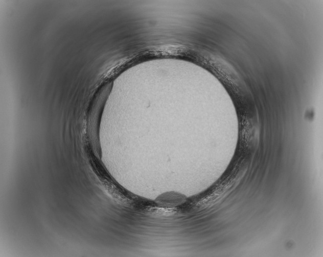 X0000098220548200805221650