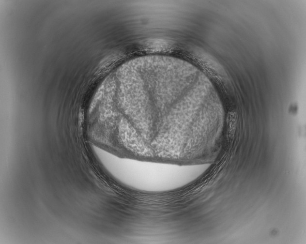 X0000098220550200805221650