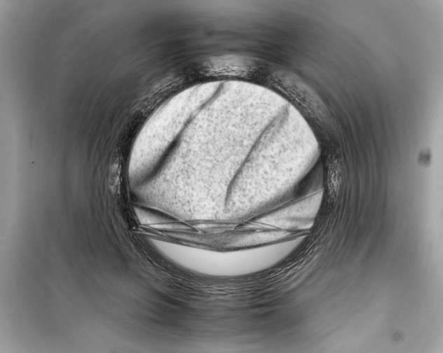 X0000098220551200805221650