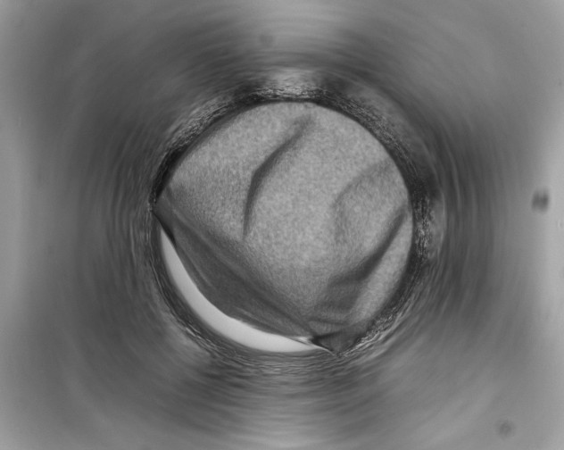 X0000098220552200805221650