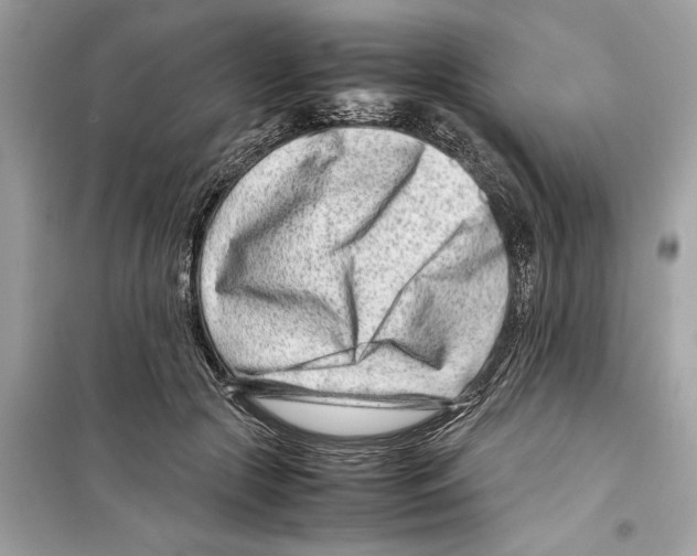 X0000098220553200805221650