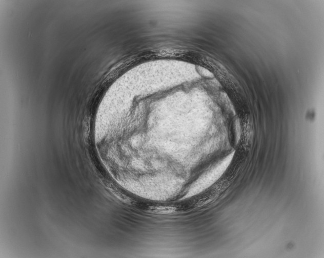 X0000098220554200805221650