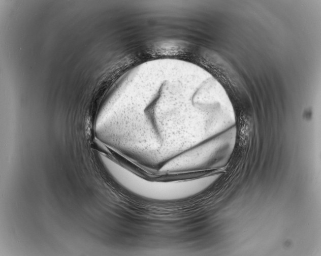 X0000098220555200805221650