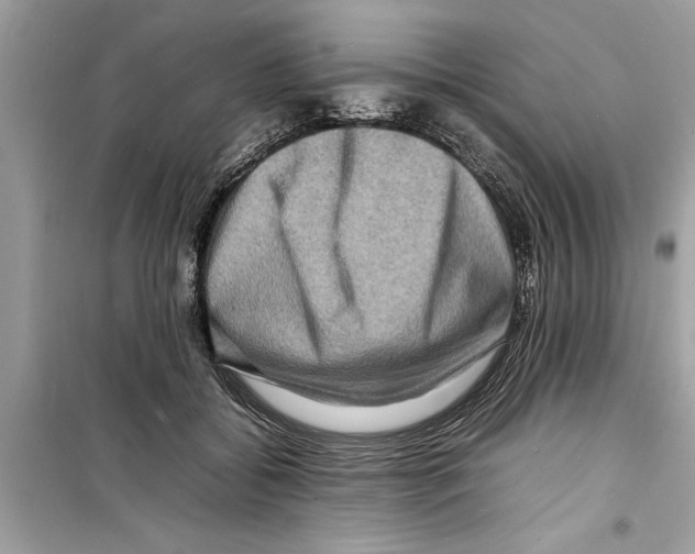 X0000098220556200805221650