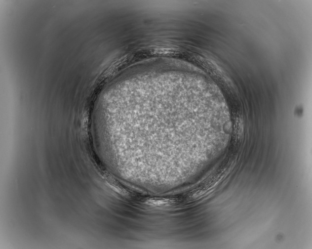X0000098220557200805221650
