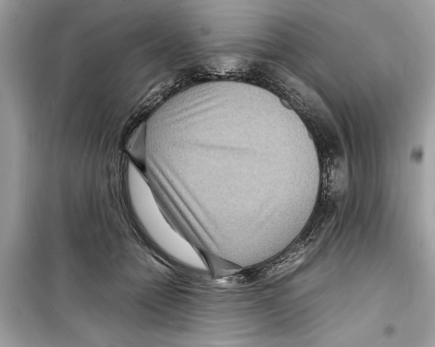 X0000098220558200805221651