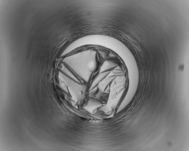 X0000098220560200805221651