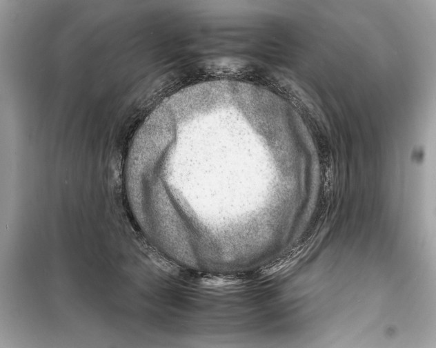X0000098220561200805221651