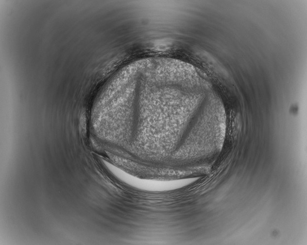 X0000098220562200805221651