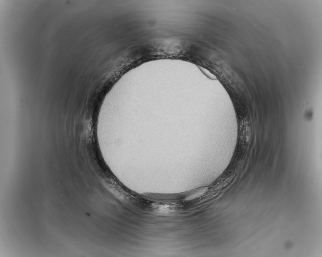 X0000098220564200805221651