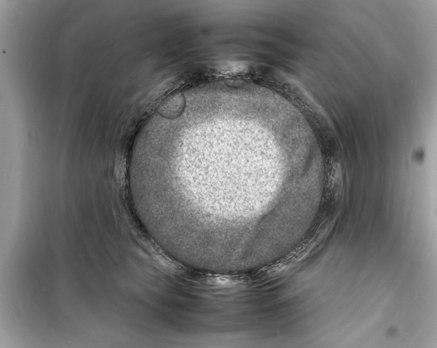 X0000098220565200805221651