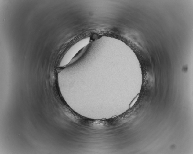 X0000098220566200805221651