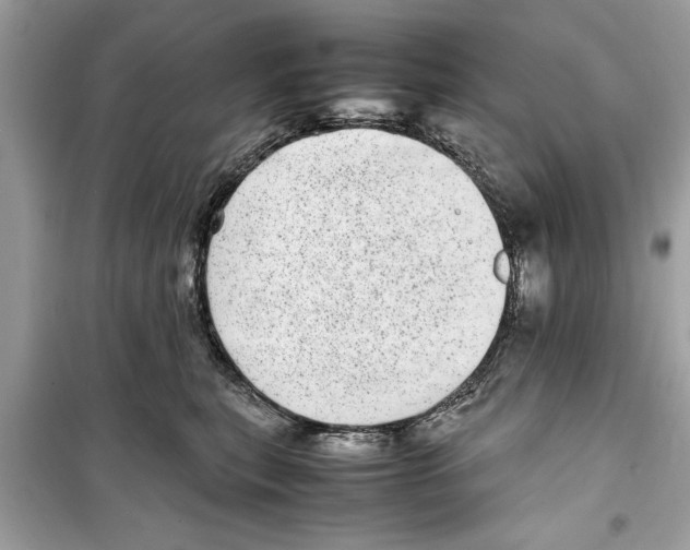 X0000098220567200805221651