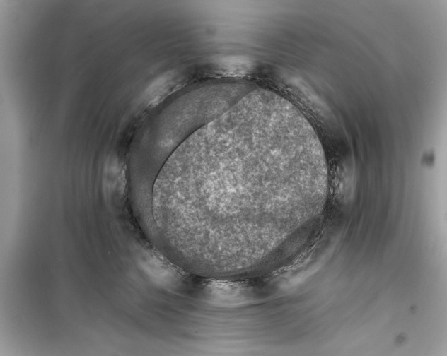 X0000098220568200805221651