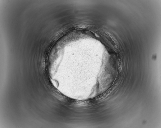 X0000098220569200805221651