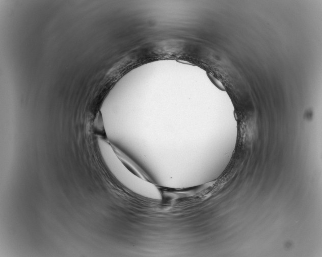 X0000098220570200805221651