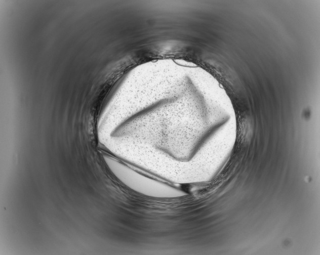 X0000098220571200805221651