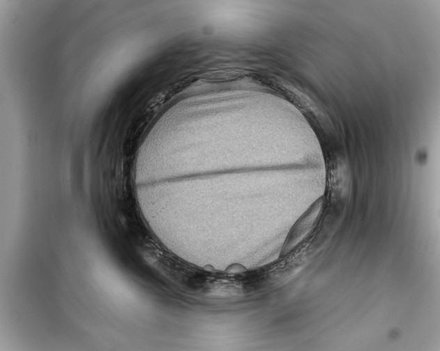 X0000098220572200805221651