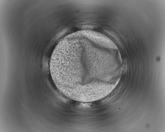X0000098220573200805221651