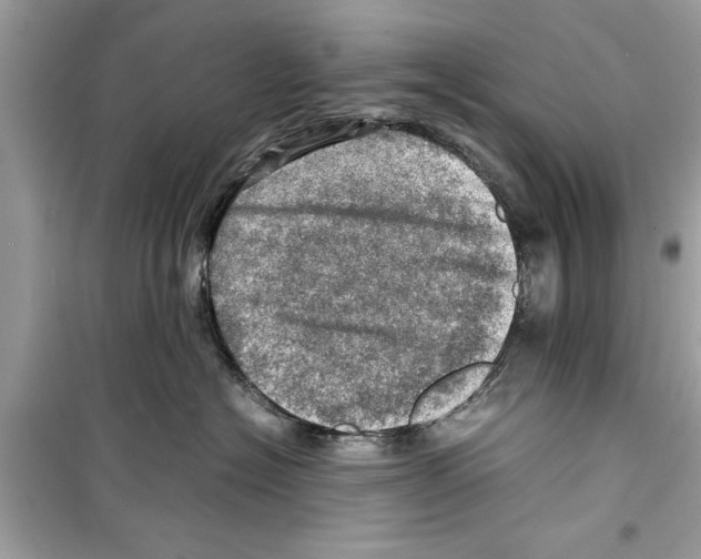 X0000098220574200805221651