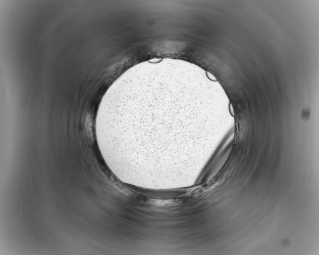 X0000098220575200805221651