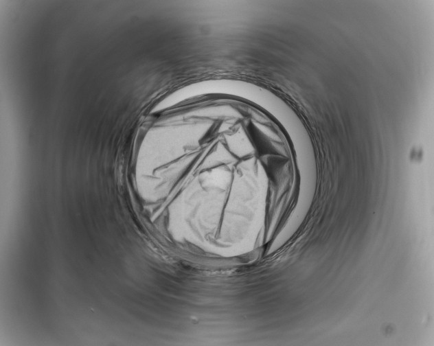 X0000098220576200805221651