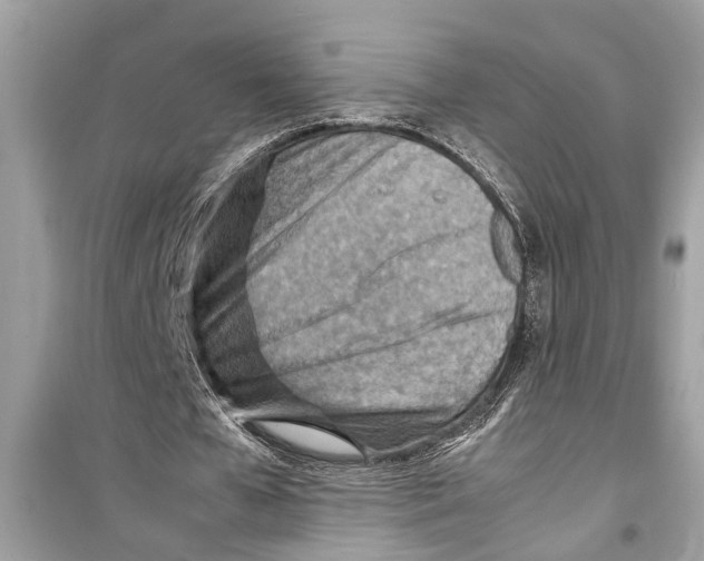 X0000098220577200805221650