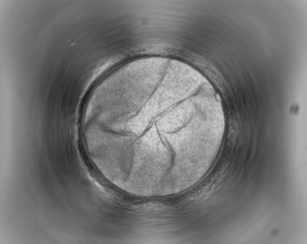 X0000098220578200805221650