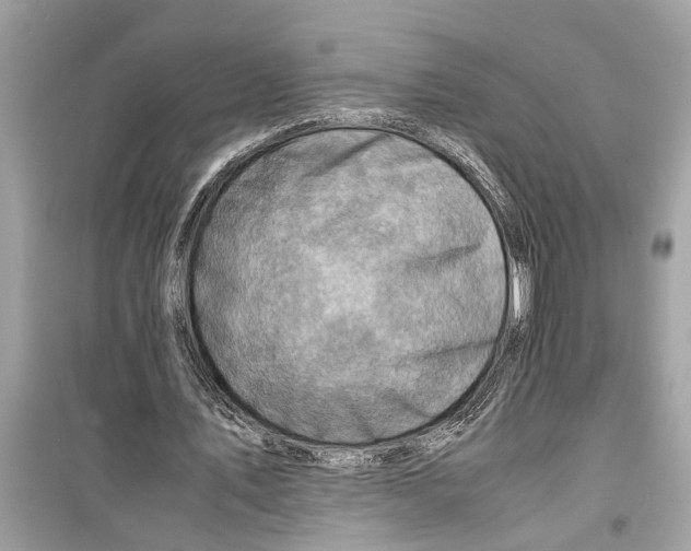 X0000098220579200805221650